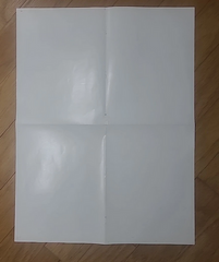 1988 Gotcha Surf 3-D Poster - Martin Potter