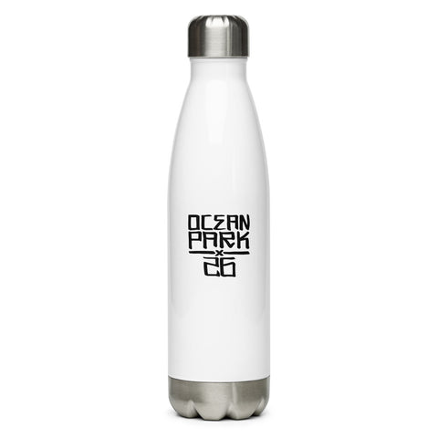 Stainless Steel Water Bottle